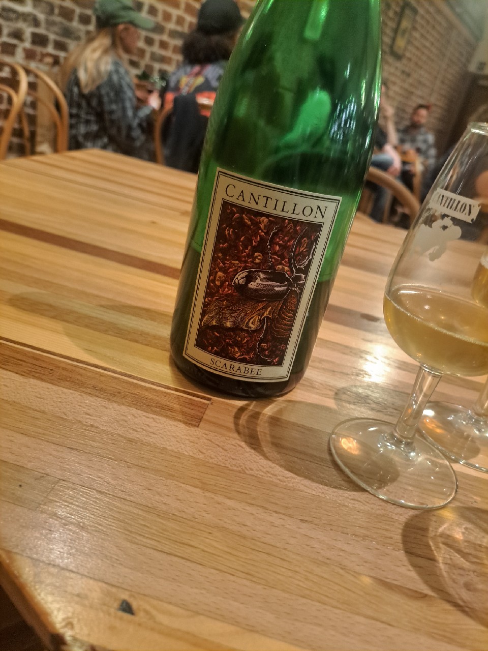 Scarabee (2024), Belgium