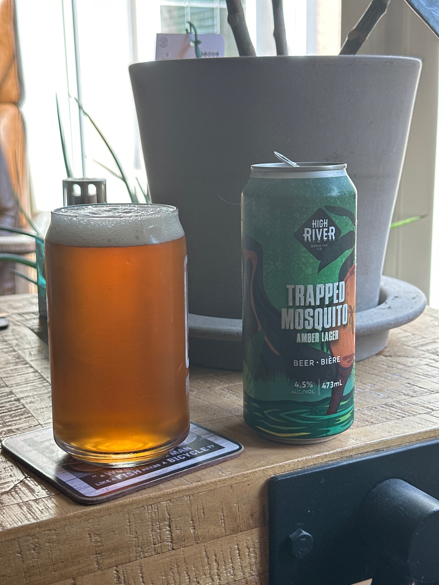 Trapped Mosquito, high river