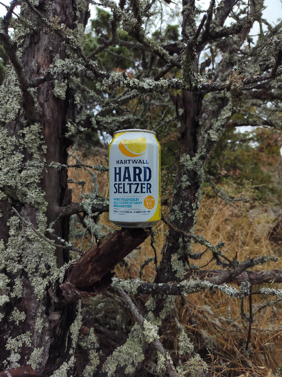 Hartwall Hard Seltzer Sitruuna, Finland