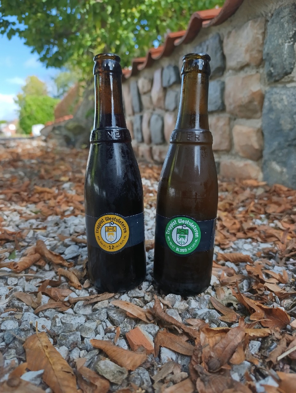 Westvleteren 6 Blonde, Belgium