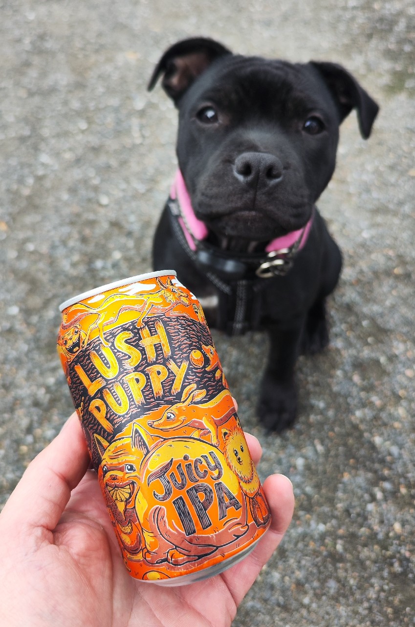 Lush Puppy, United States