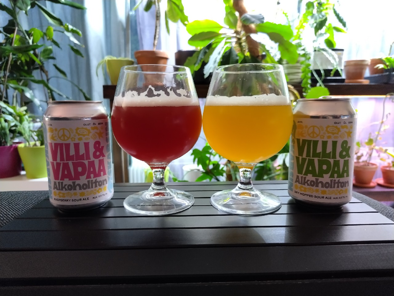Villi & Vapaa Alkoholiton Dry Hopped Sour Ale, Finland
