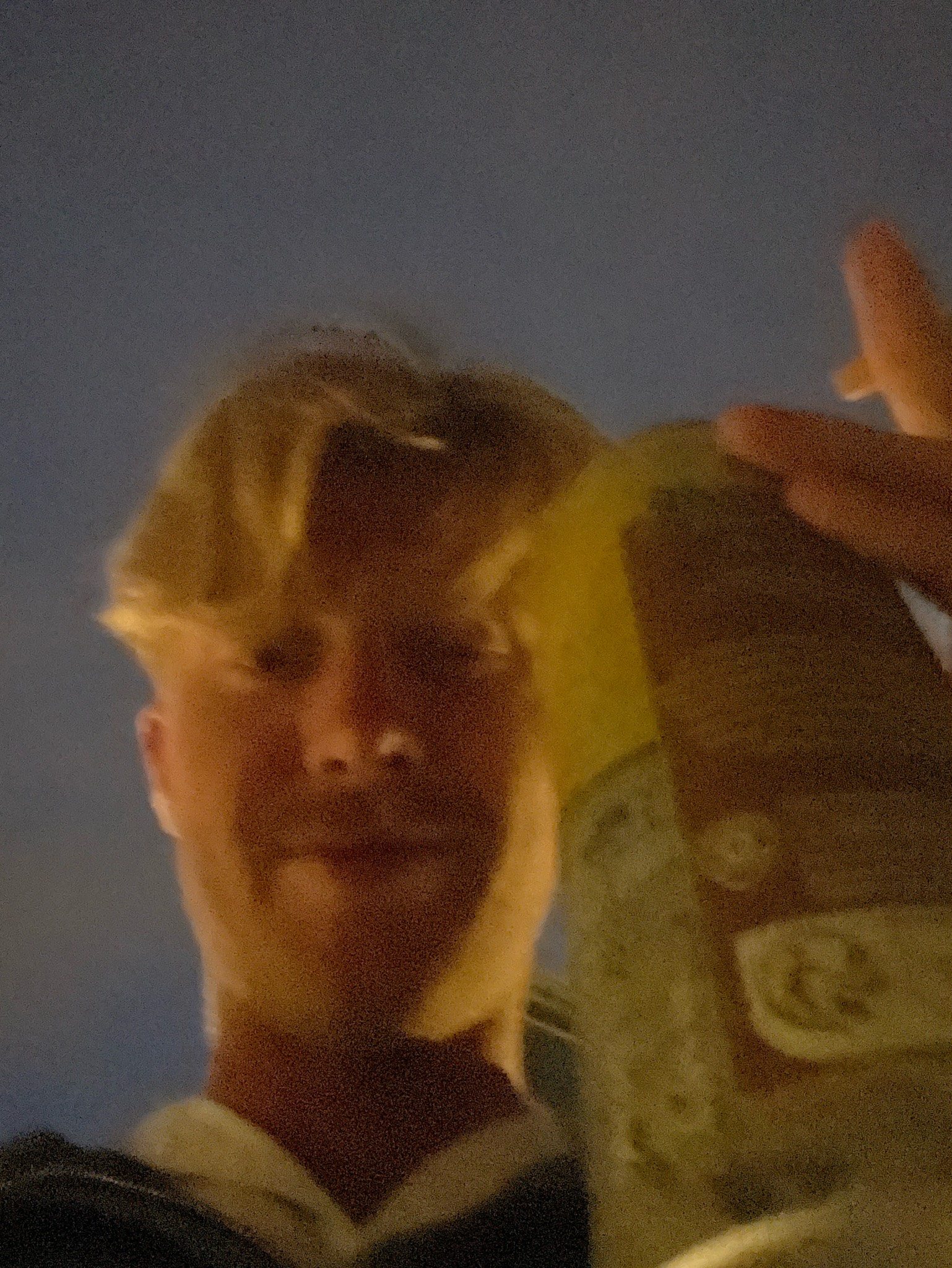 Alveringem Blonde, France