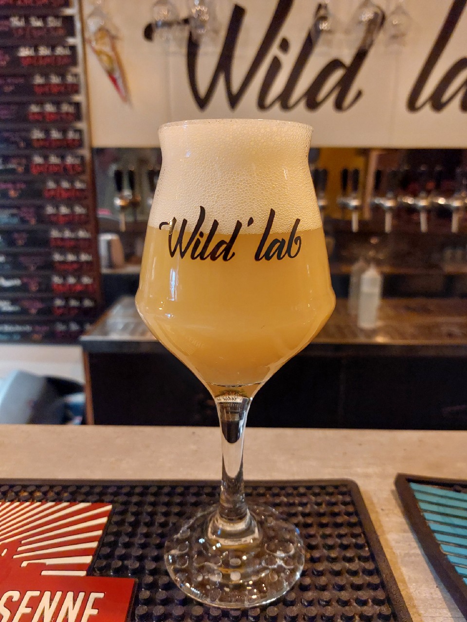 Foggy Tropic, Poland