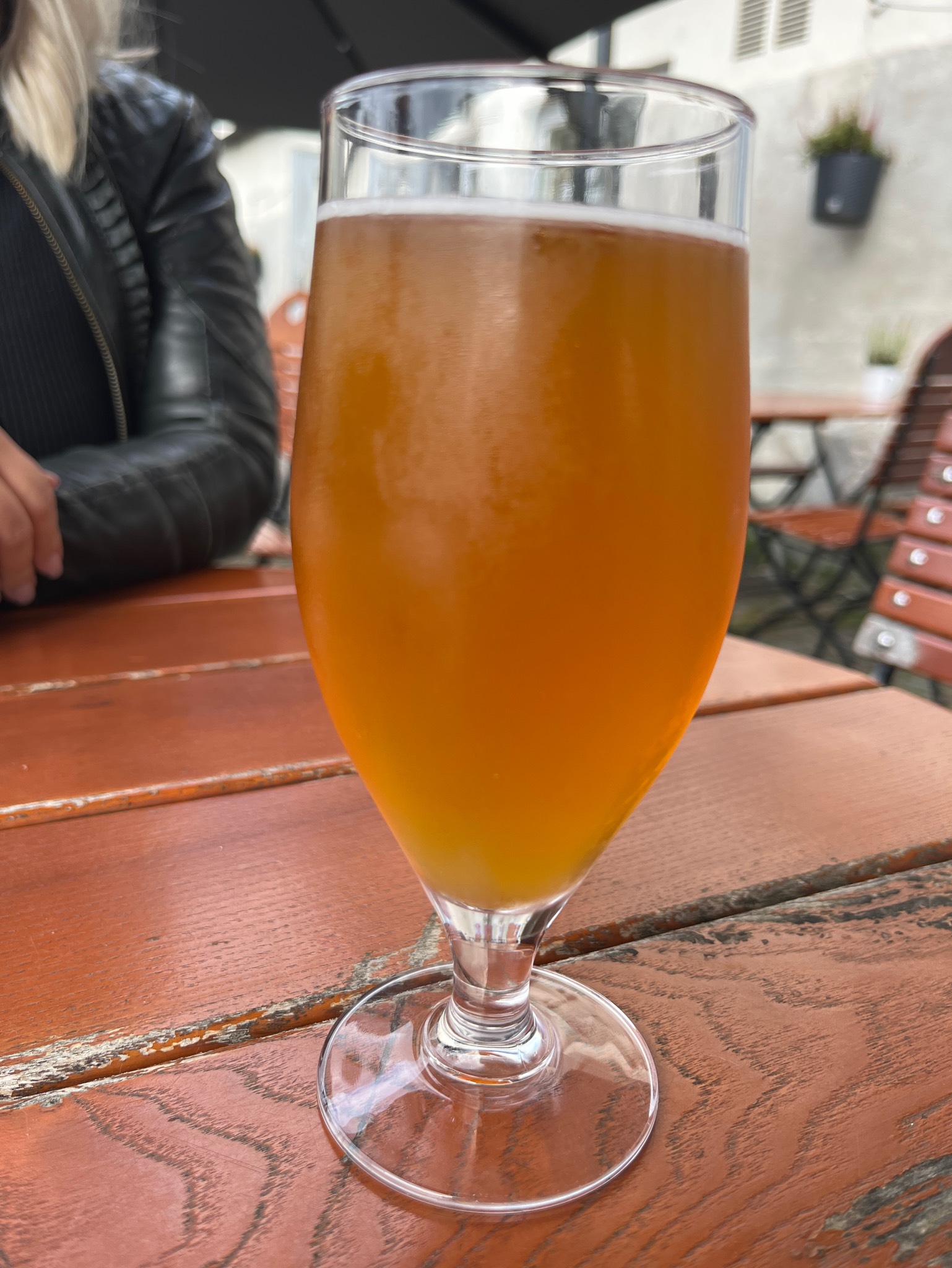Blond Ale, Malmgårdin Panimo