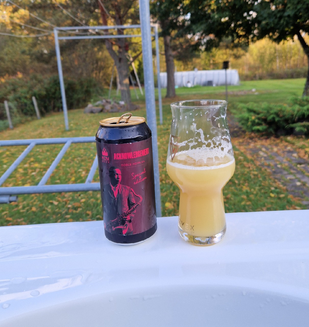 Acknowledgement, Spain