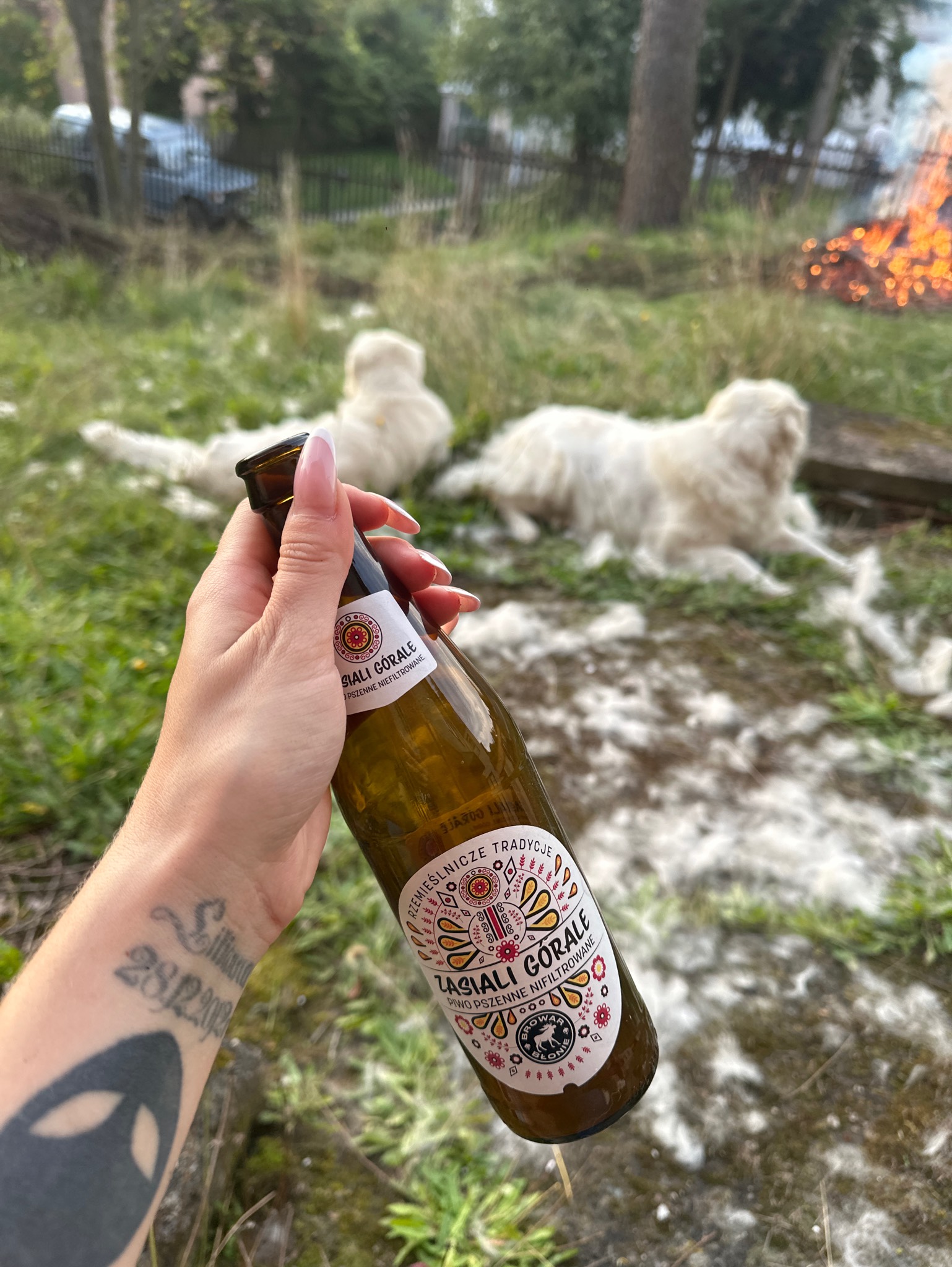 Zasiali Gorale, Browar Błonie