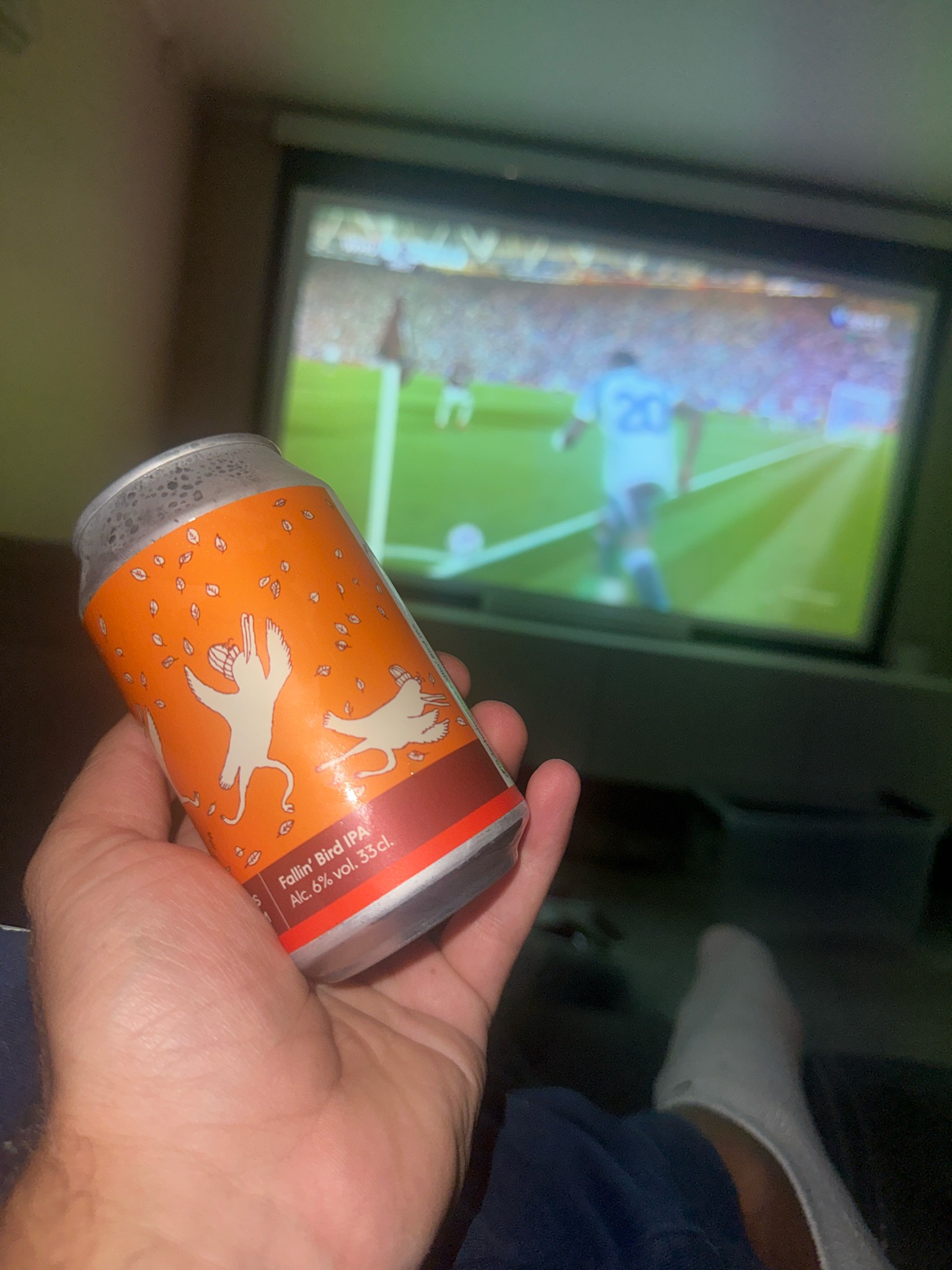 Fallin' Bird, Sweden