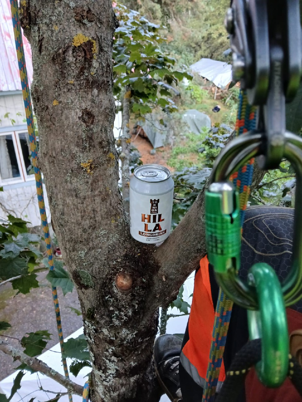 Hilla Cloudberry Longdrink, Finland