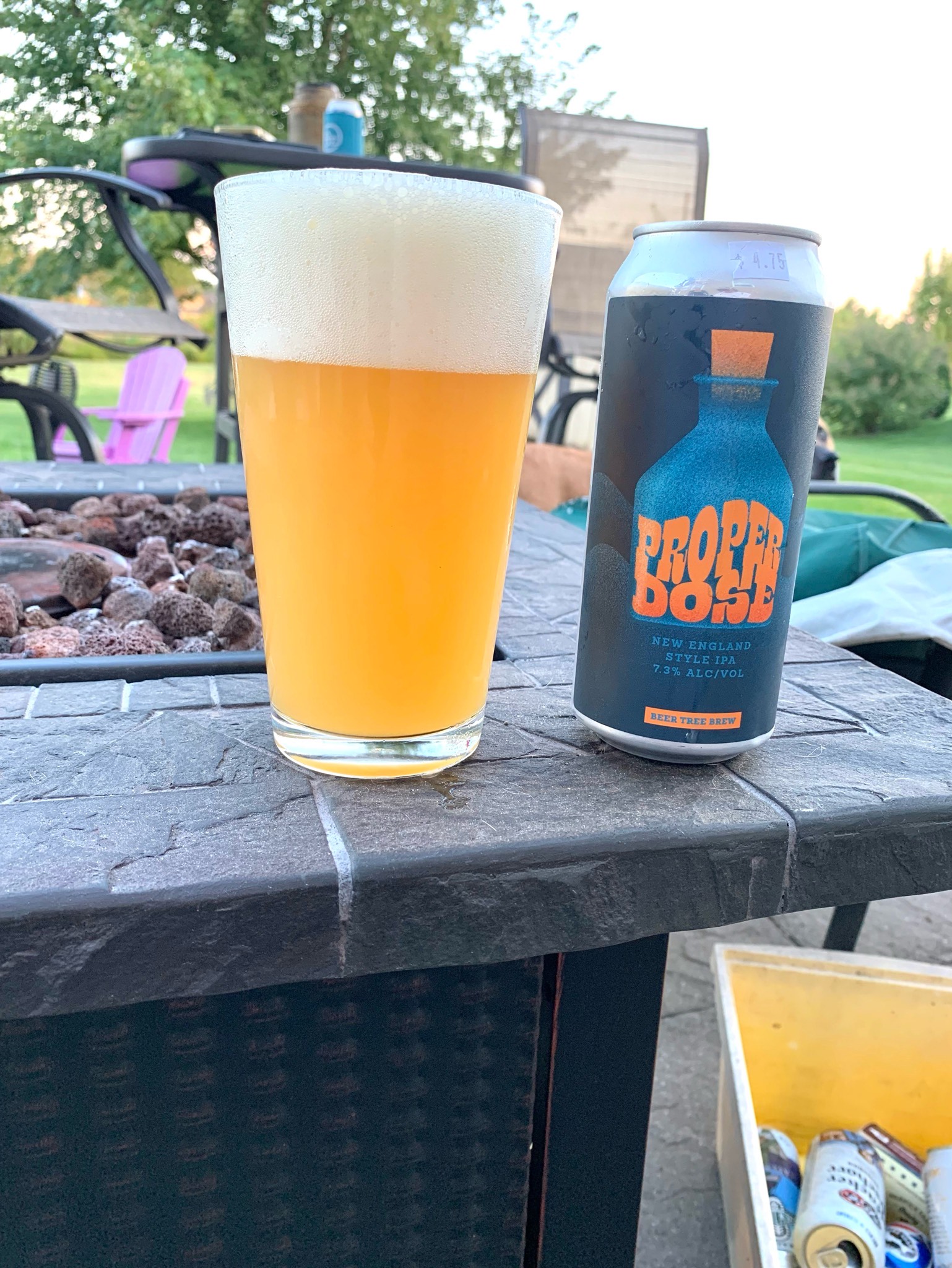 Proper Dose, Beer Tree Brew Co.