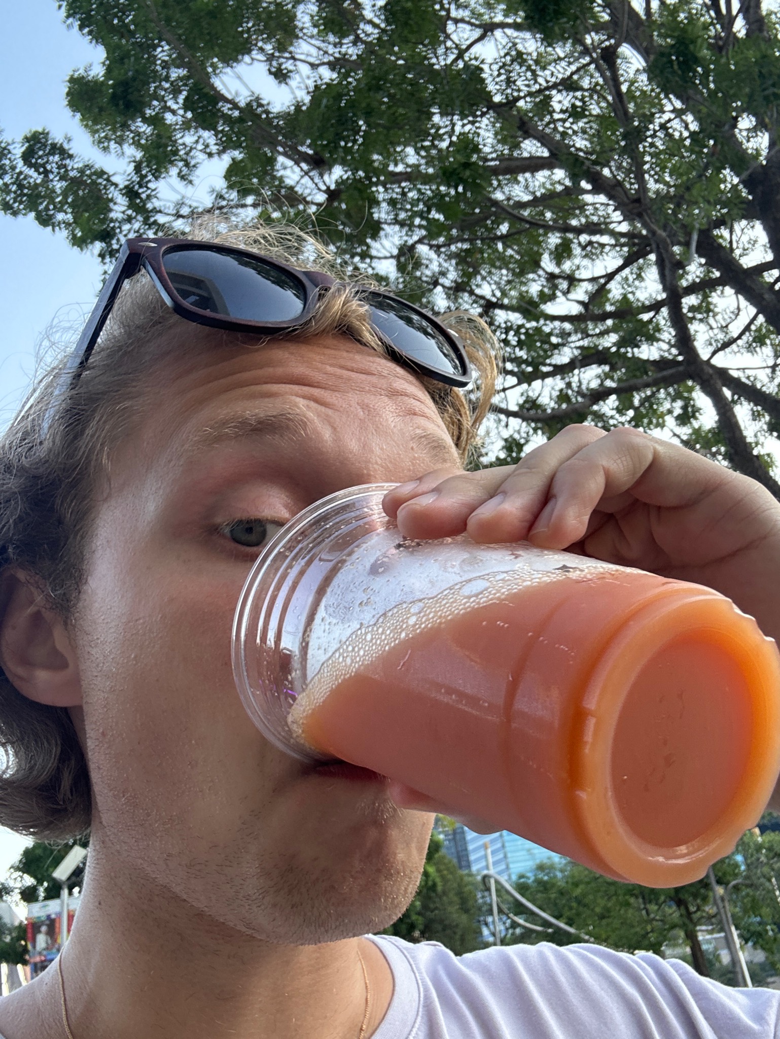 Heart of the dessert, Pink Blossoms
