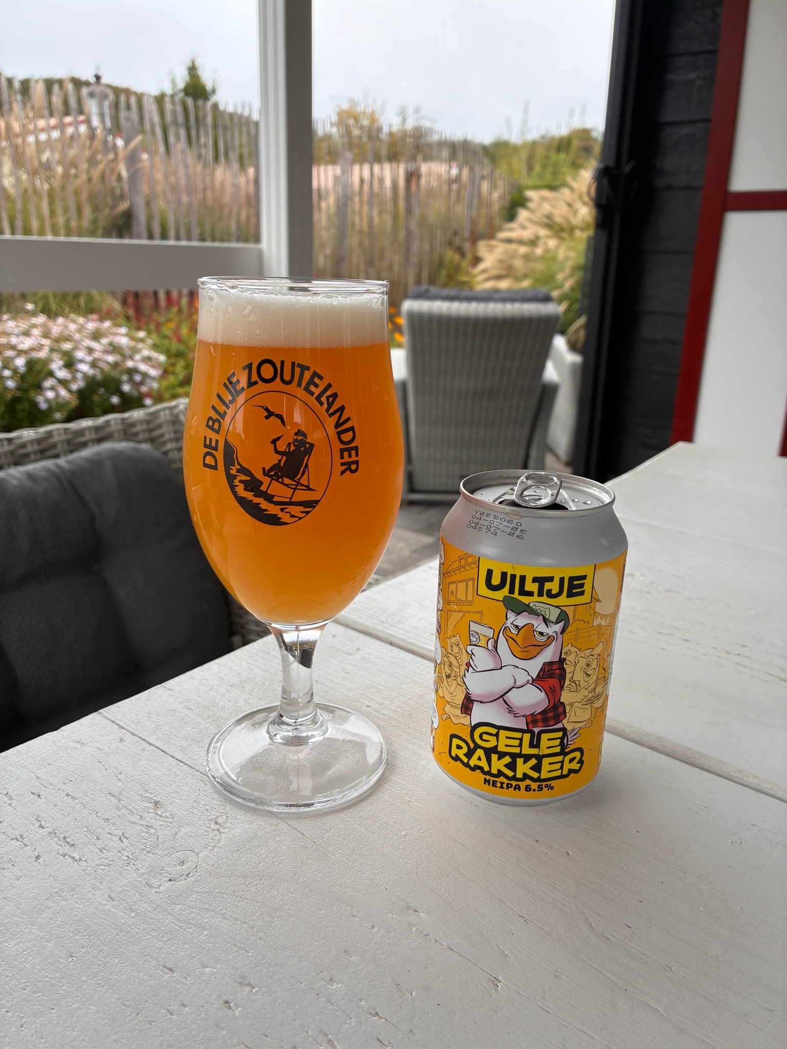 Gele Rakker, Netherlands