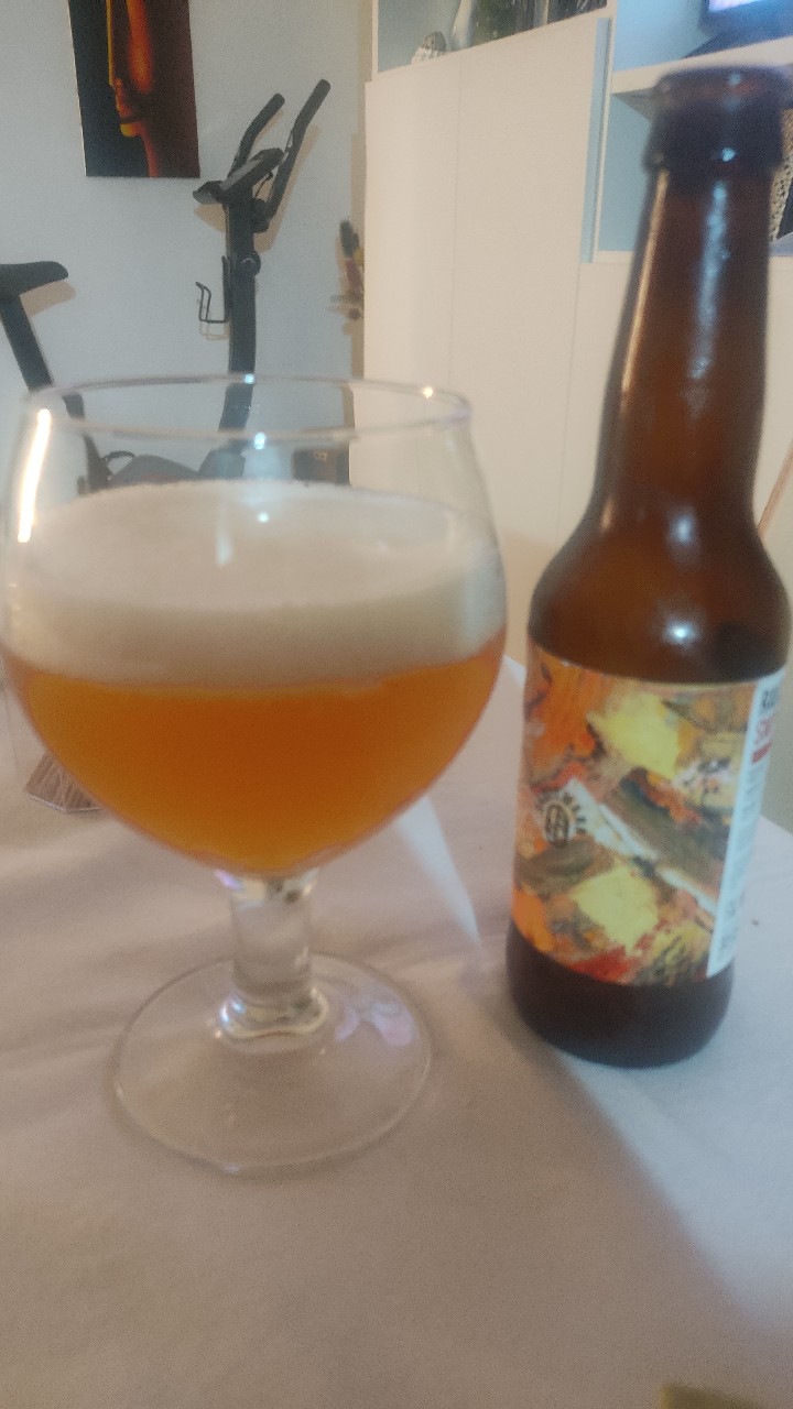 rauchkopf smoked saison, Skollmann