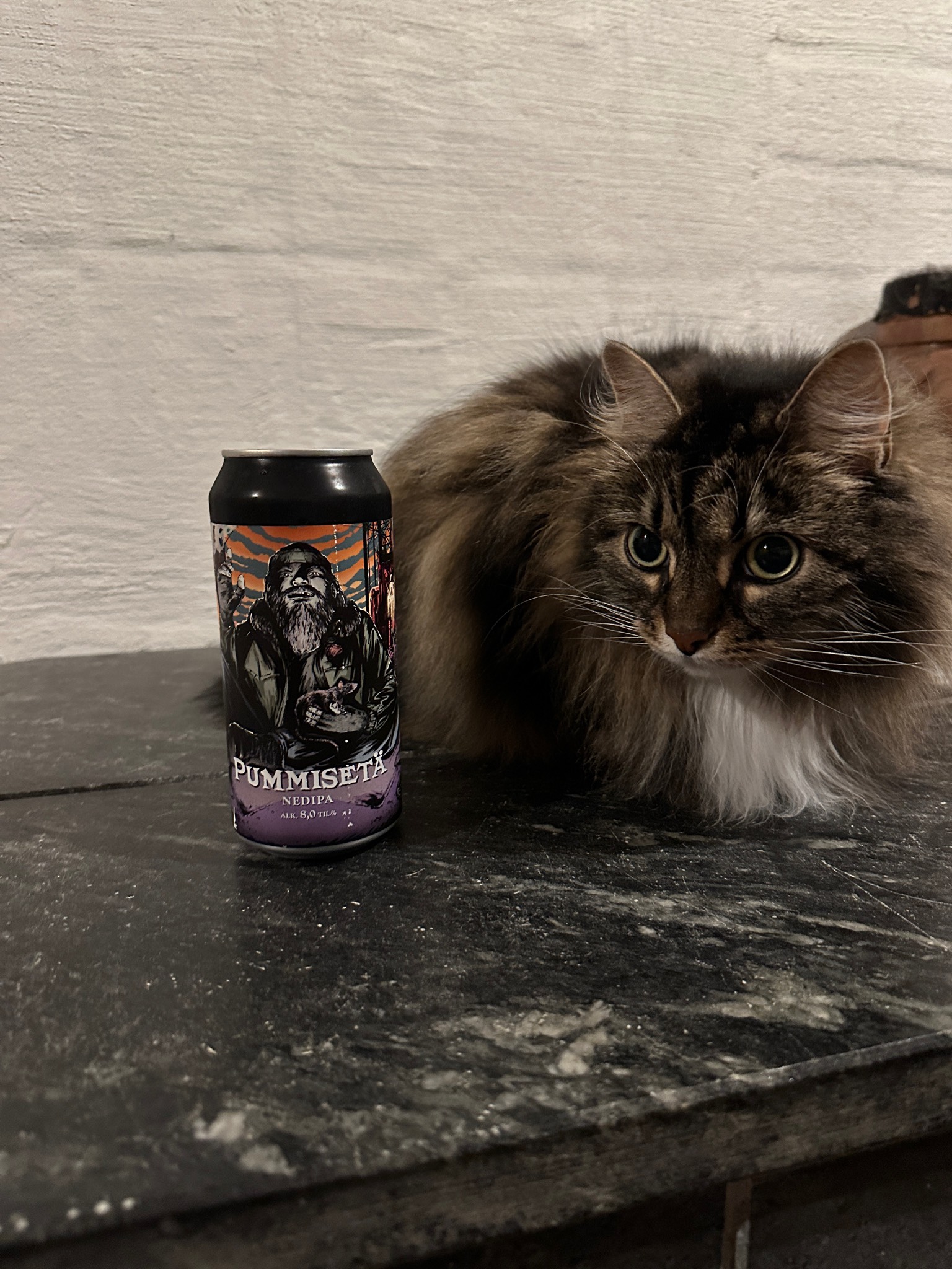 Pummisetä (2021), Finland