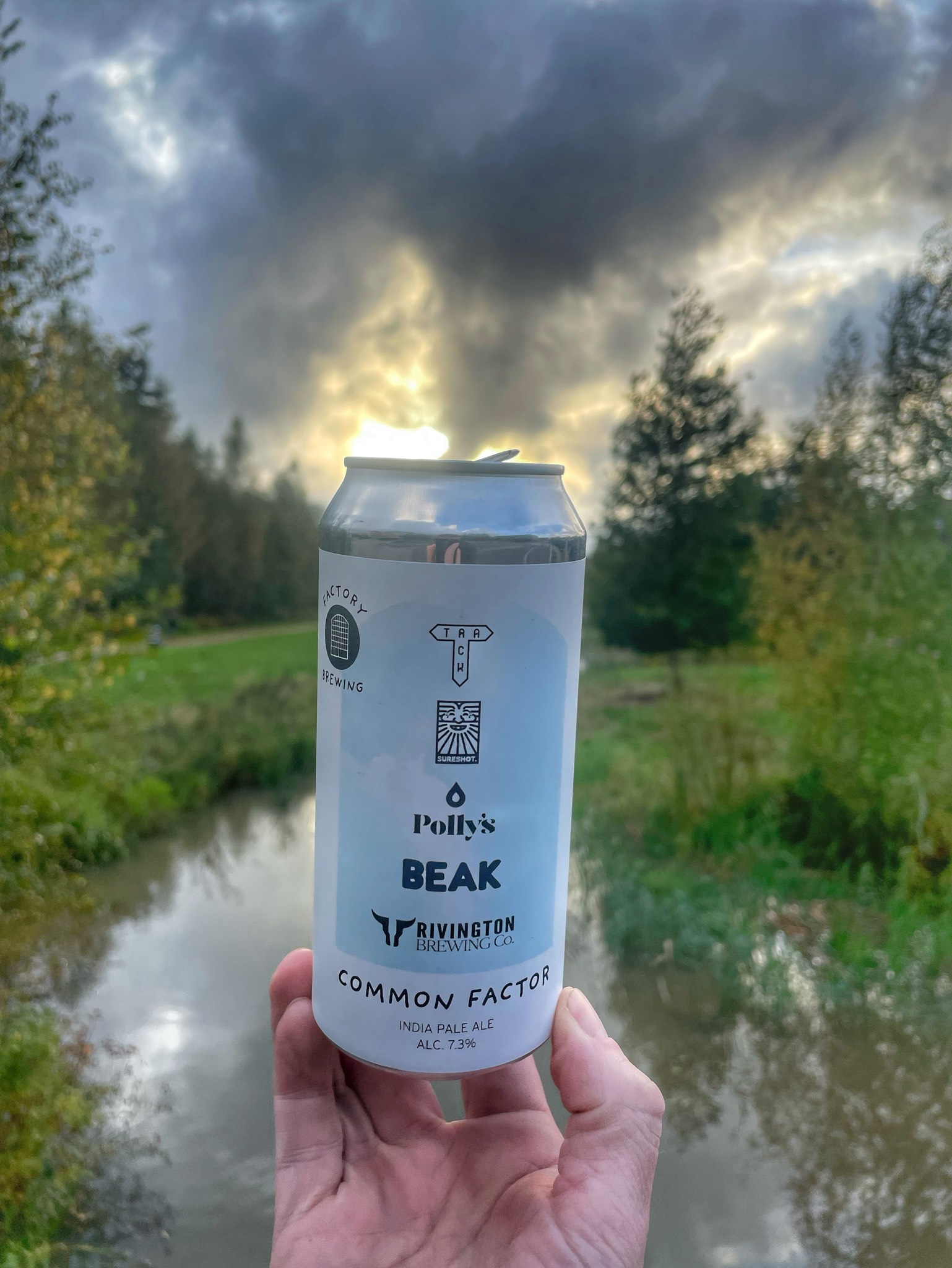 Common Factor, Finland