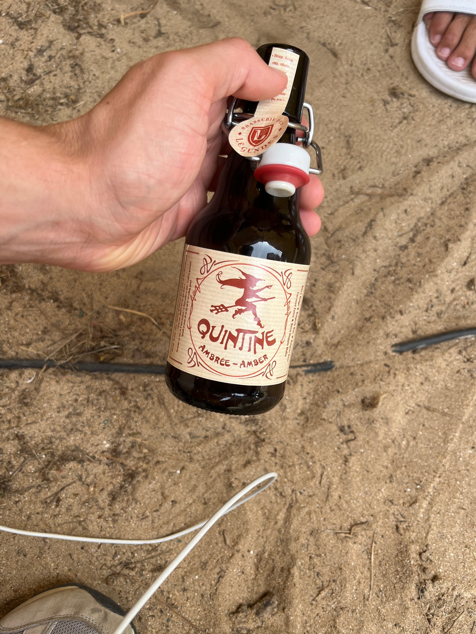 Quintine Ambrée, Belgium