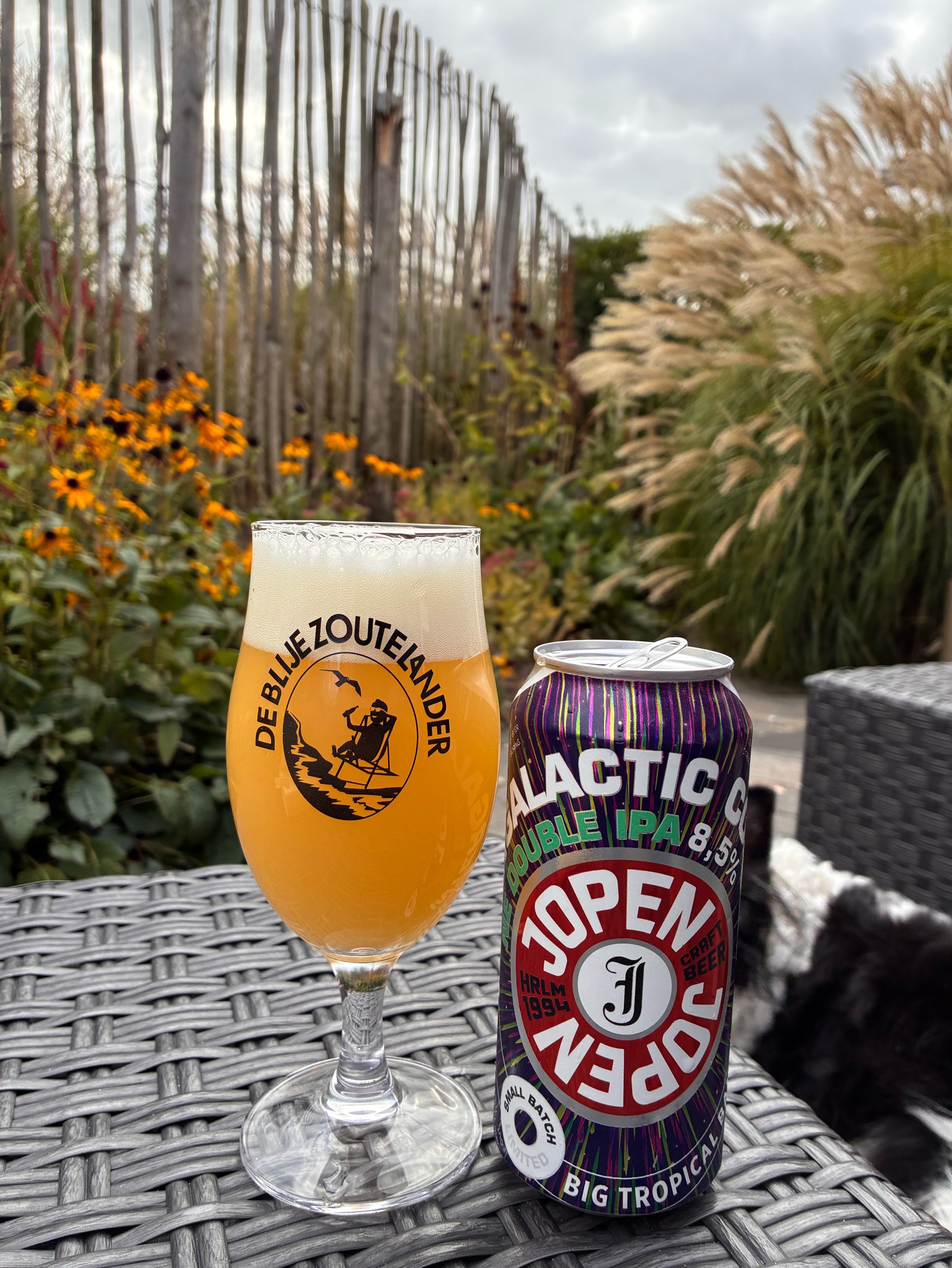 Jopen intergalactic, Netherlands