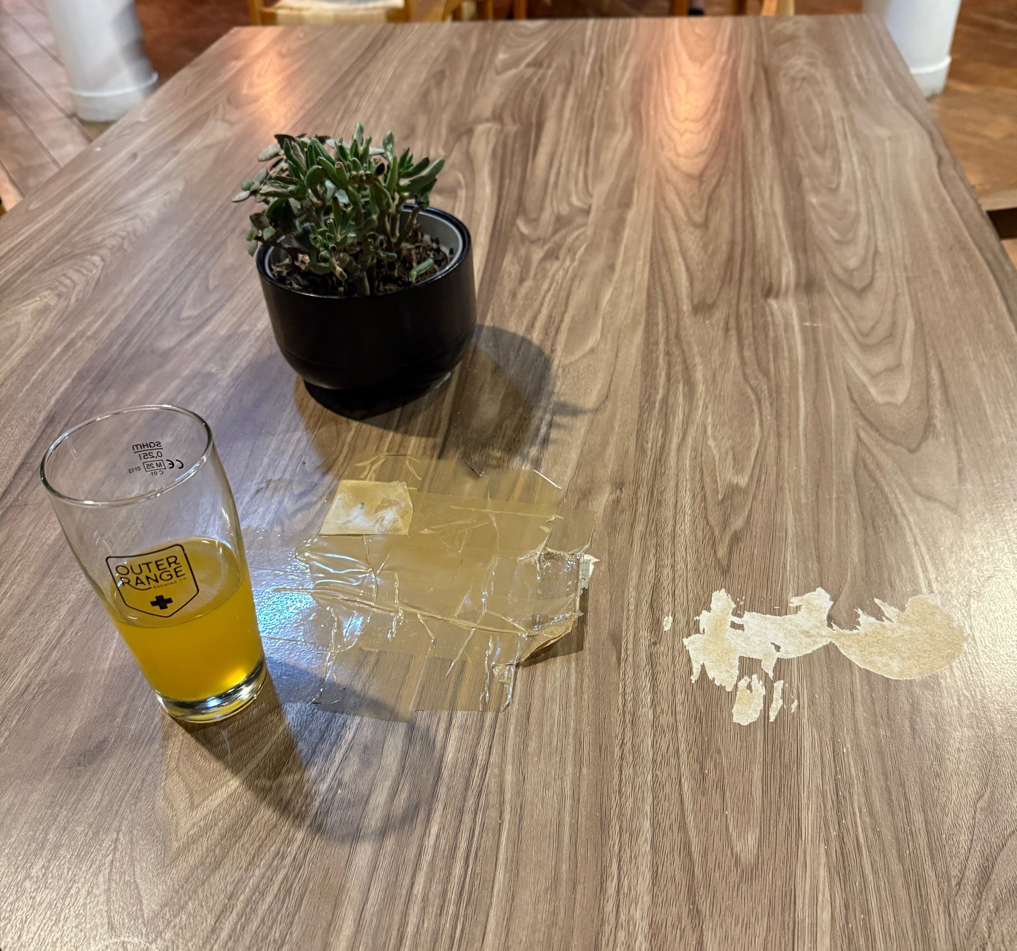 The Sun Always Rises, France