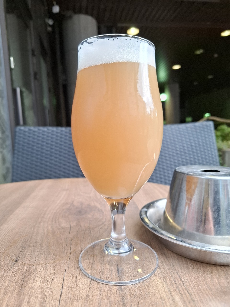 Eureka! Luminosa & Peacharine, Willibald Farm Brewery