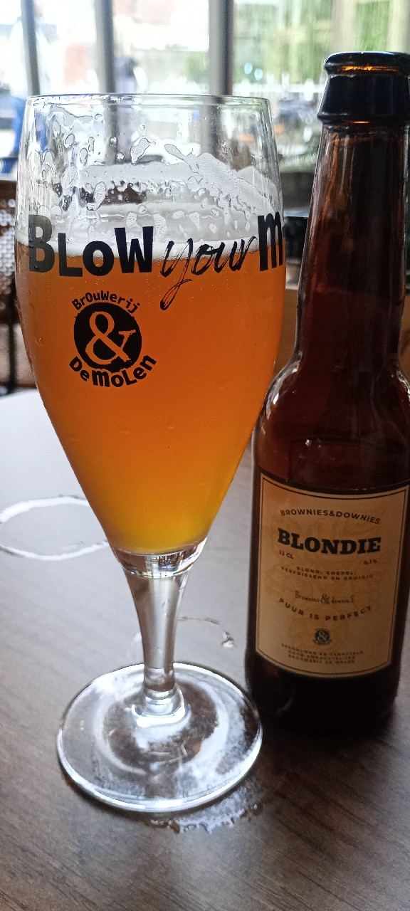 Brownies&downieS Blondie, Netherlands