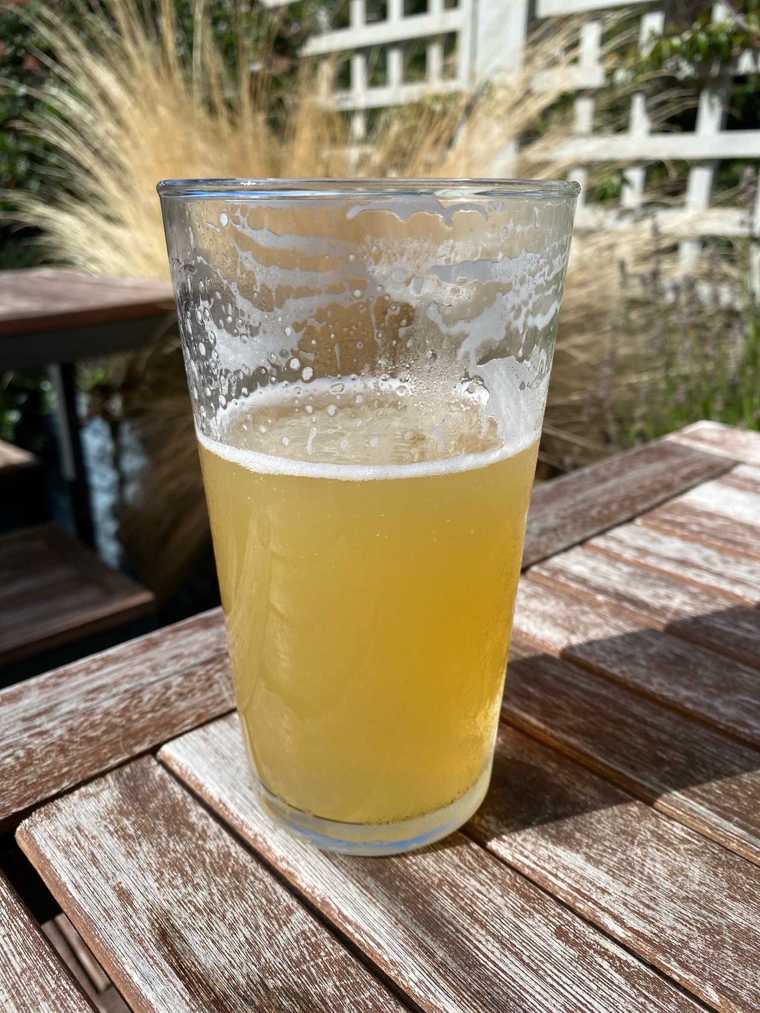 Little Nipper, Black Iris Brewery