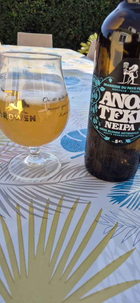 Anosteké NEIPA, France