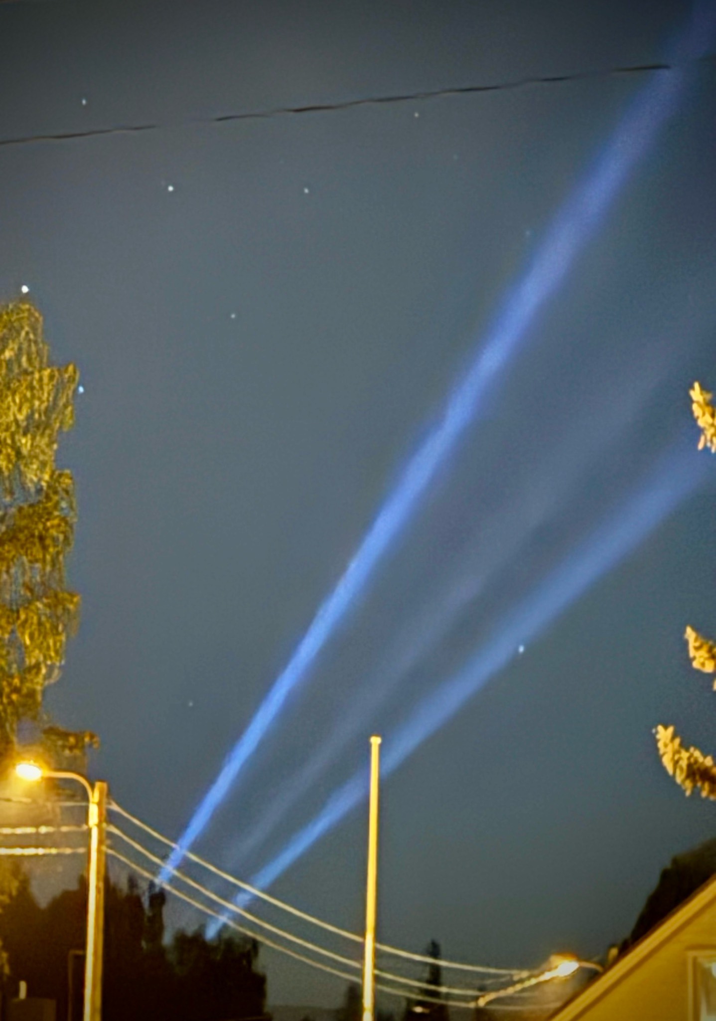 Christian Bale Ale, Denmark