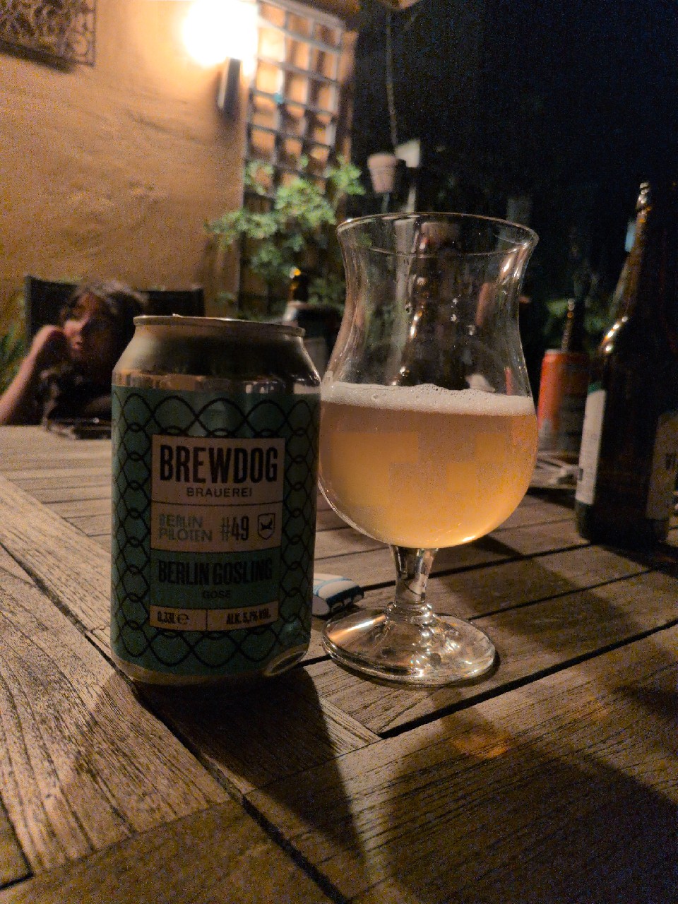 Pilot #49 Berlin Gosling, Germany