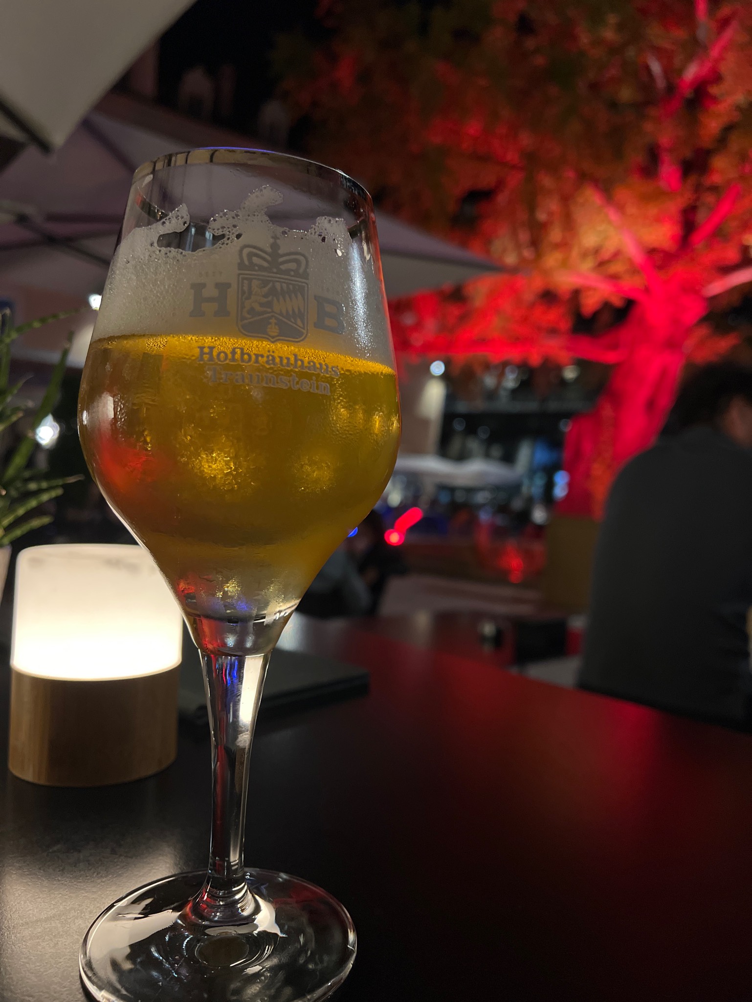 Traunsteiner Zwickl, Germany