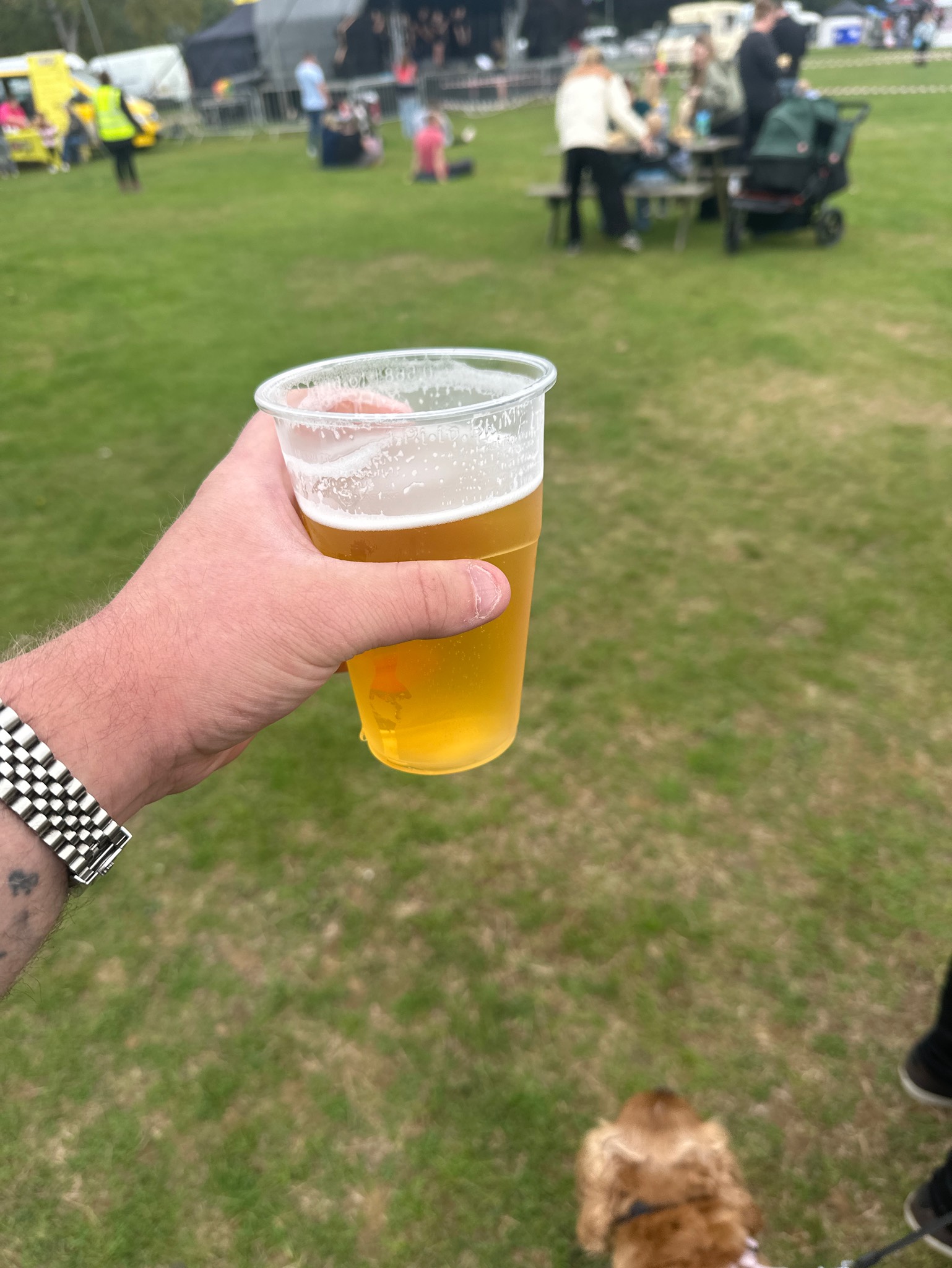 Norwich Pilsner, Redwell Brewing