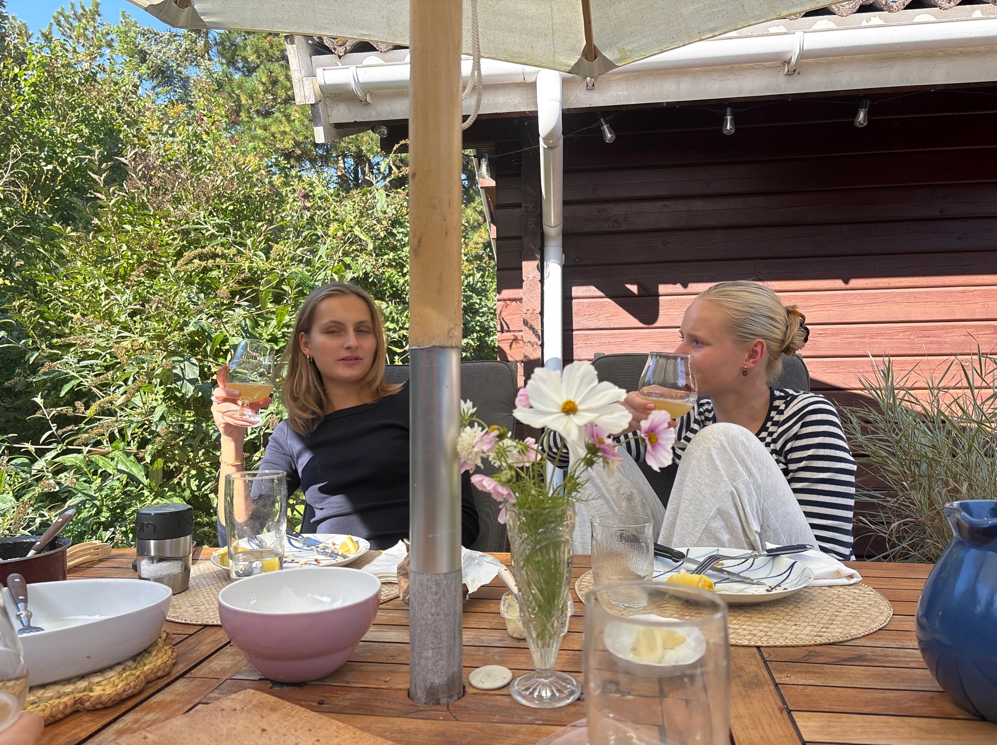 Party Crasher, Too Old To Die Young Brewing Co.