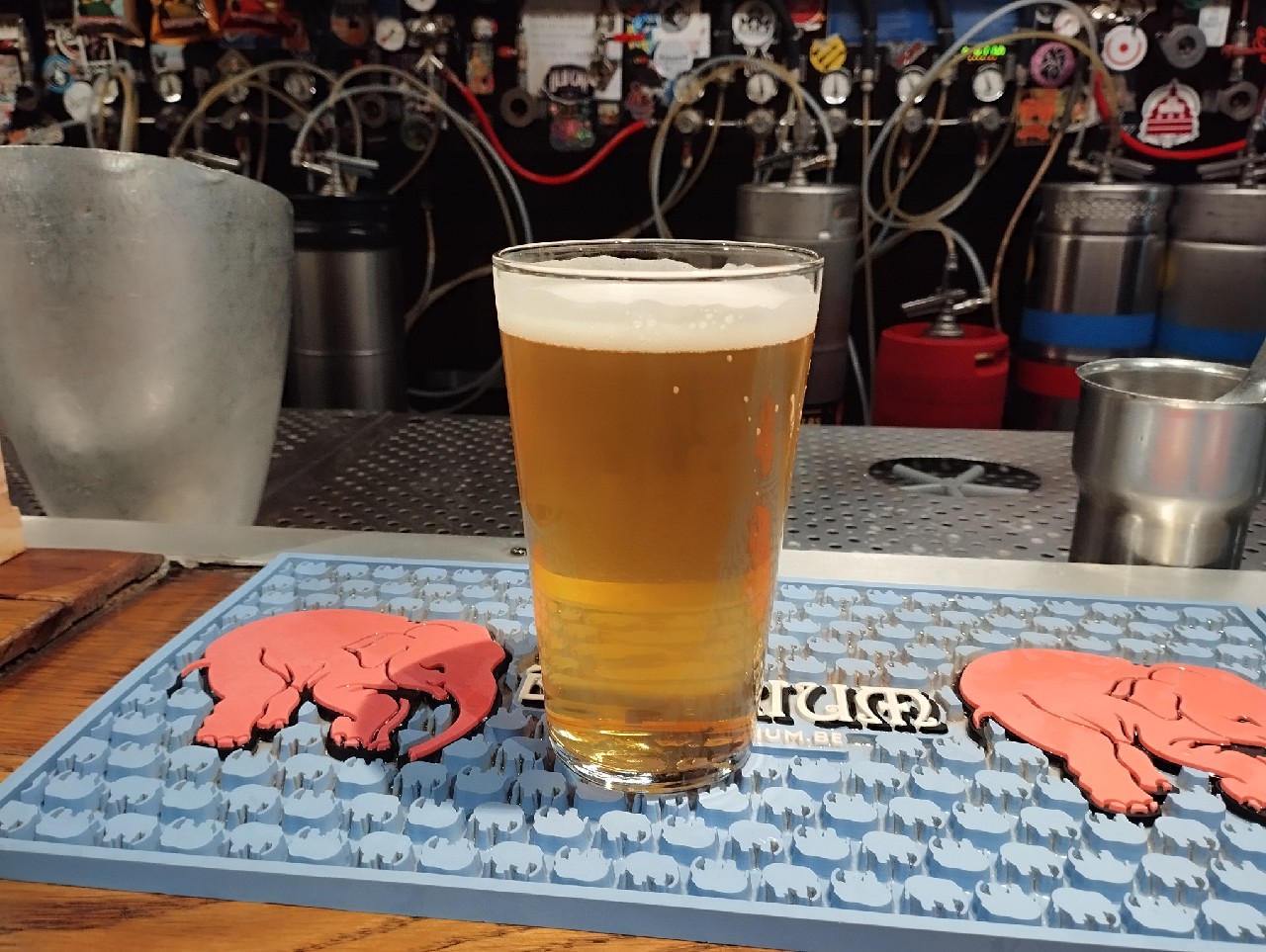 Paranoïa Exotic, Belgium