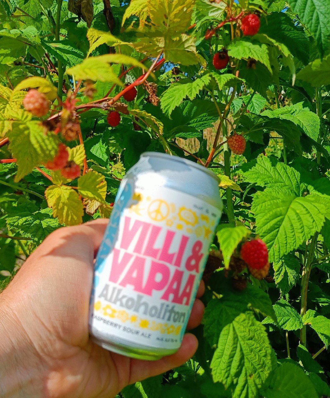Villi & Vapaa Alkoholiton Raspberry Sour Ale, Finland