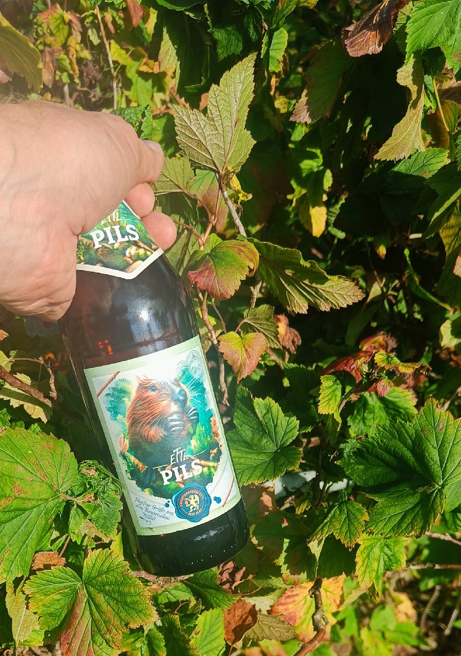 Ettl Pils, Germany