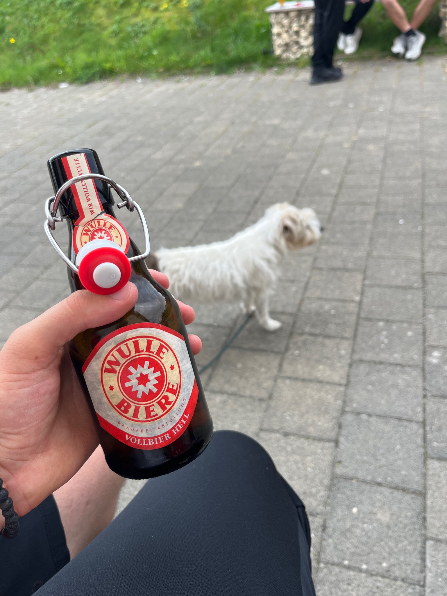 Wulle Vollbier Hell, Germany