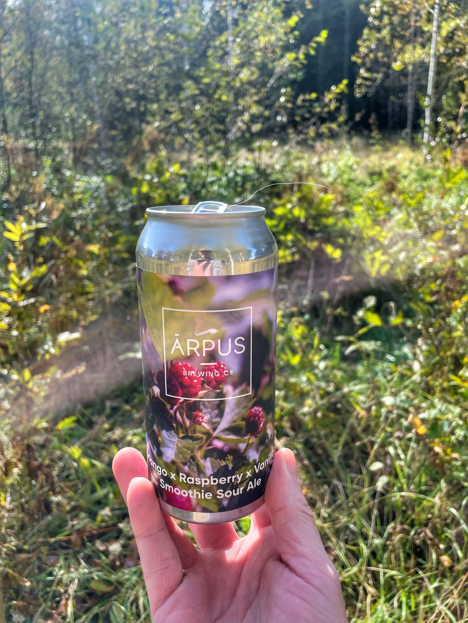 Mango x Raspberry x Vanilla Smoothie Sour Ale, Latvia