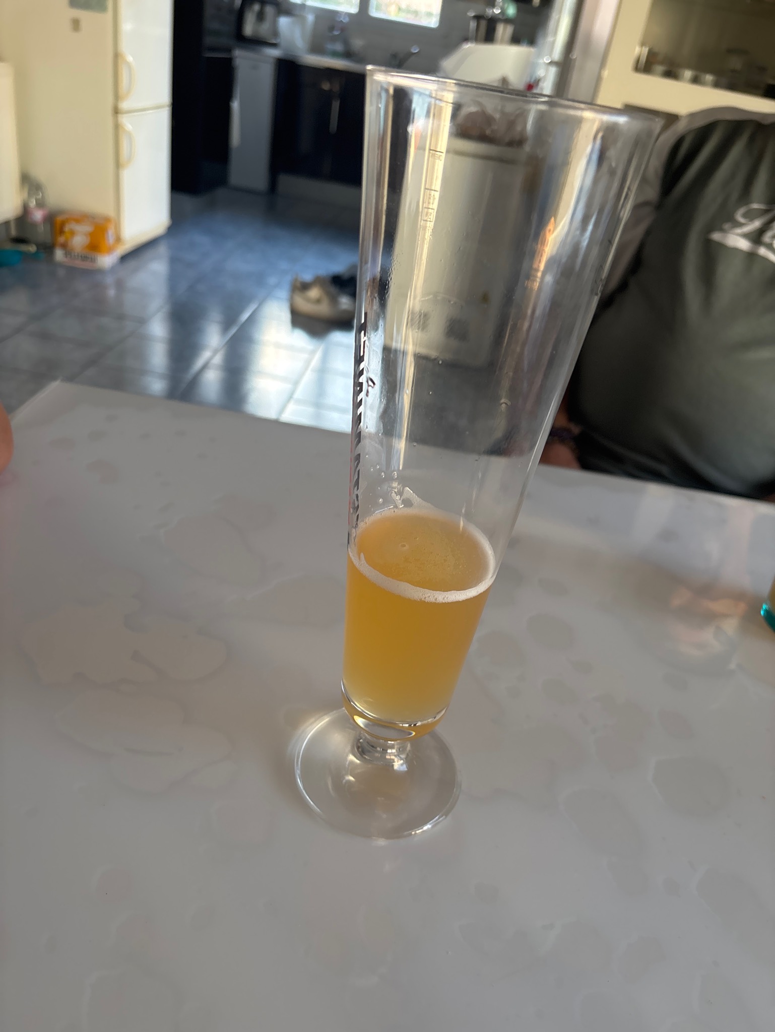 La Métive Blanche, France