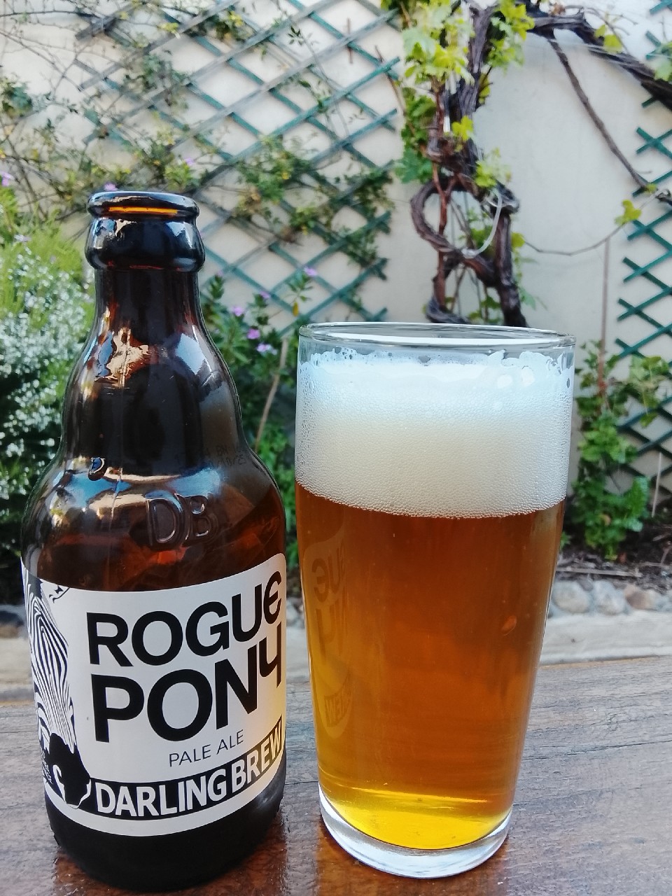 Rogue Pony, Darling Brewery / Tasteroom