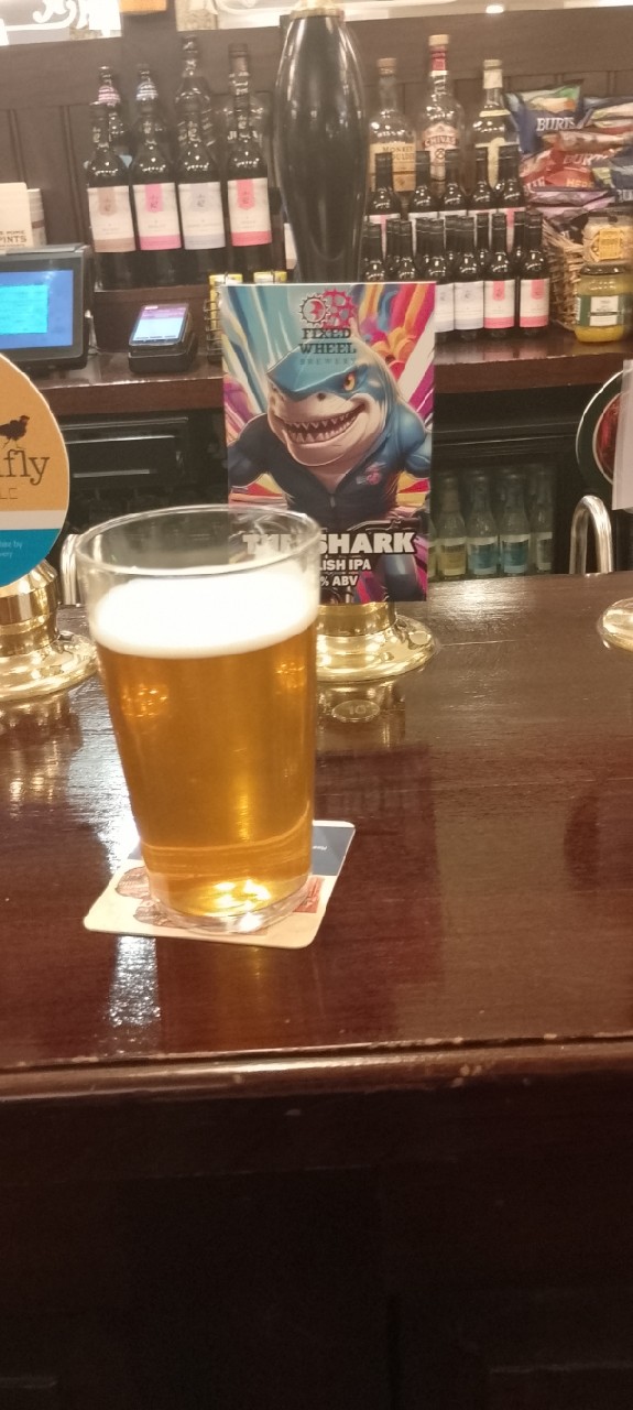 the shark, Fixed Wheel Brewery