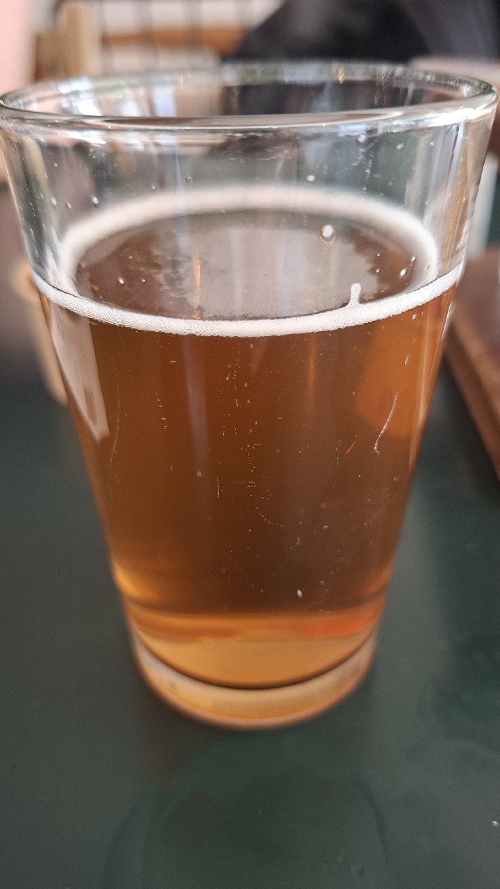 zwaan, Taproom Madrid