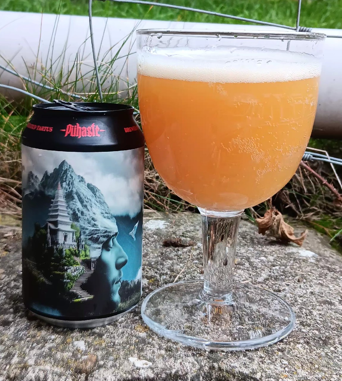 Ivory Tower - Motueka, Estonia