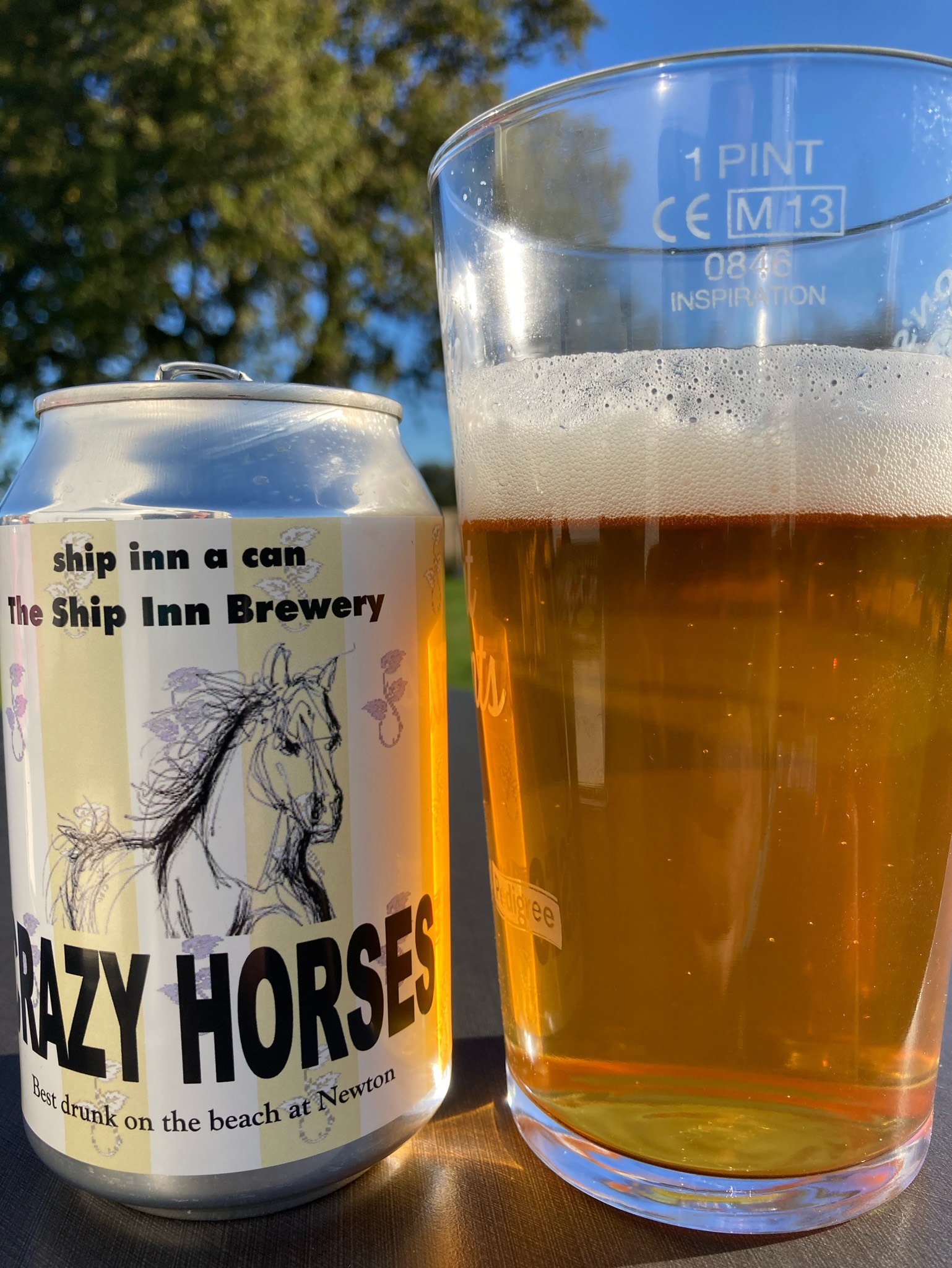 Crazy Horses, The Ship