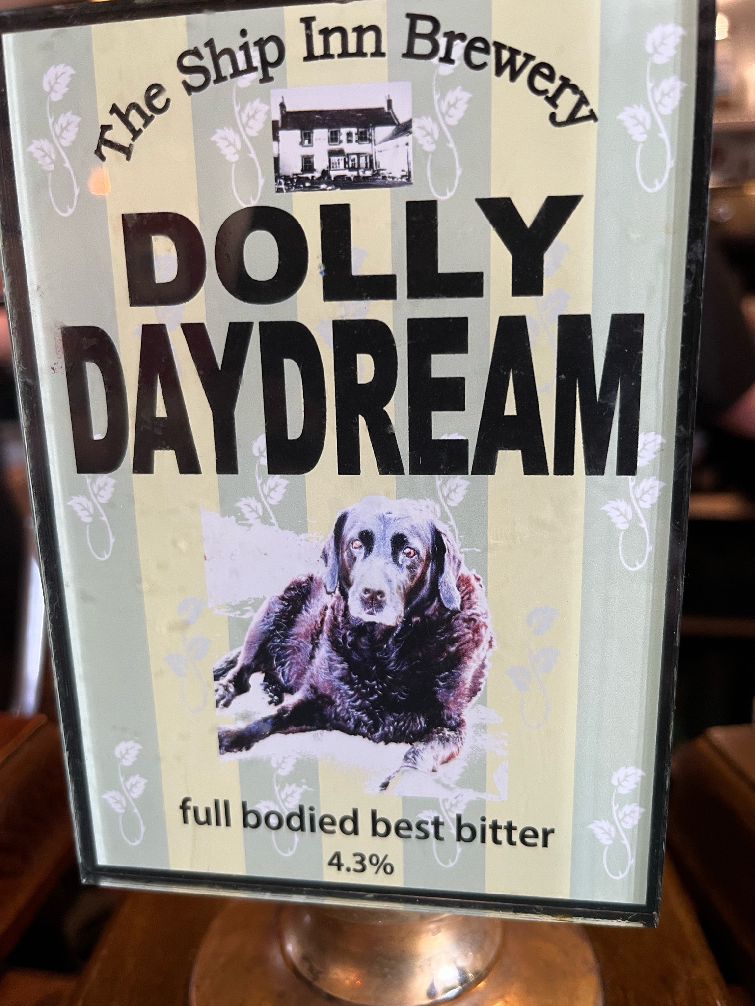 Dolly daydream, The Ship