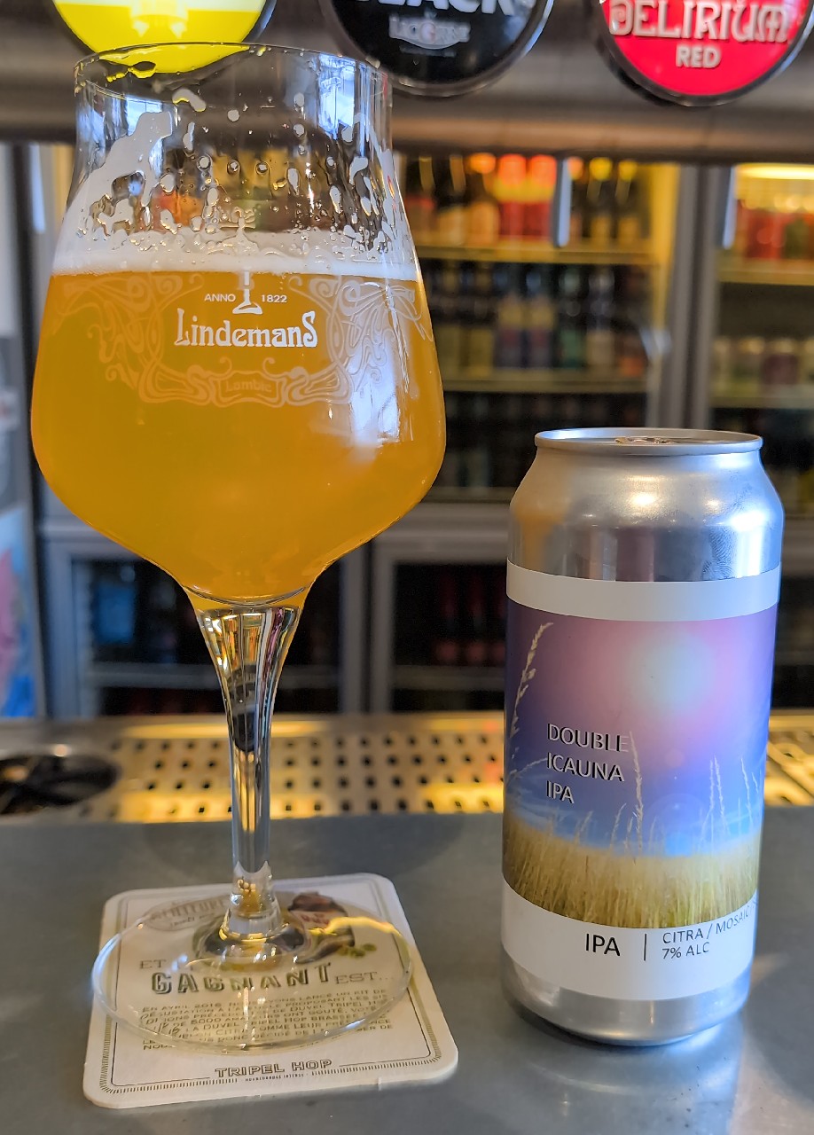 Double IPA Citra / Colombus / Galaxy / Mosaic / Waimea, France