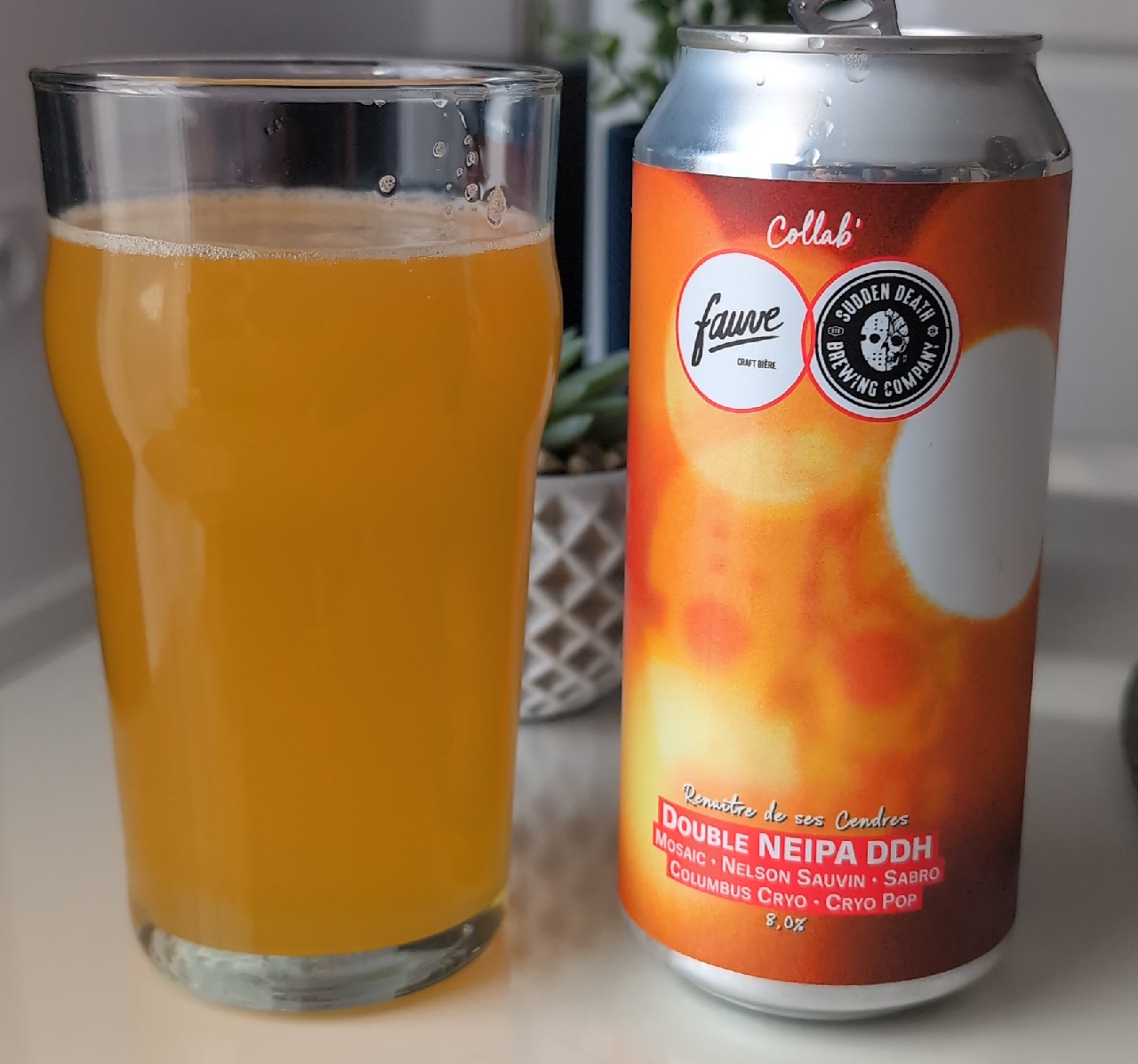 Renaître De Ses Cendres, France