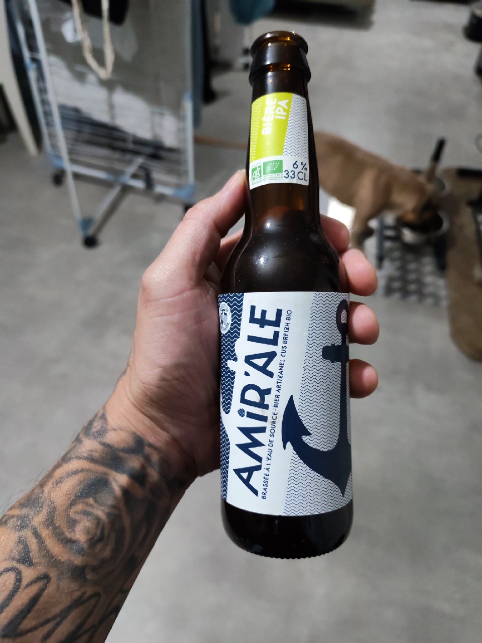 Amir'Ale IPA, Amir'Ale
