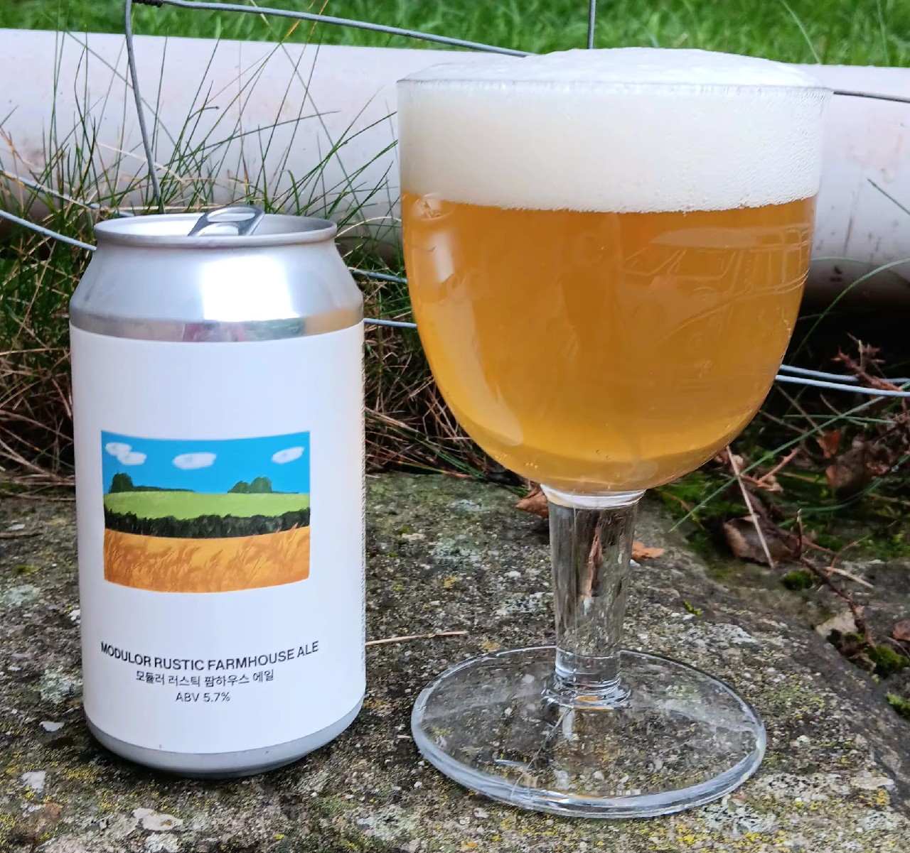 modulor rustic farmhouse ale, Seoul Brewery