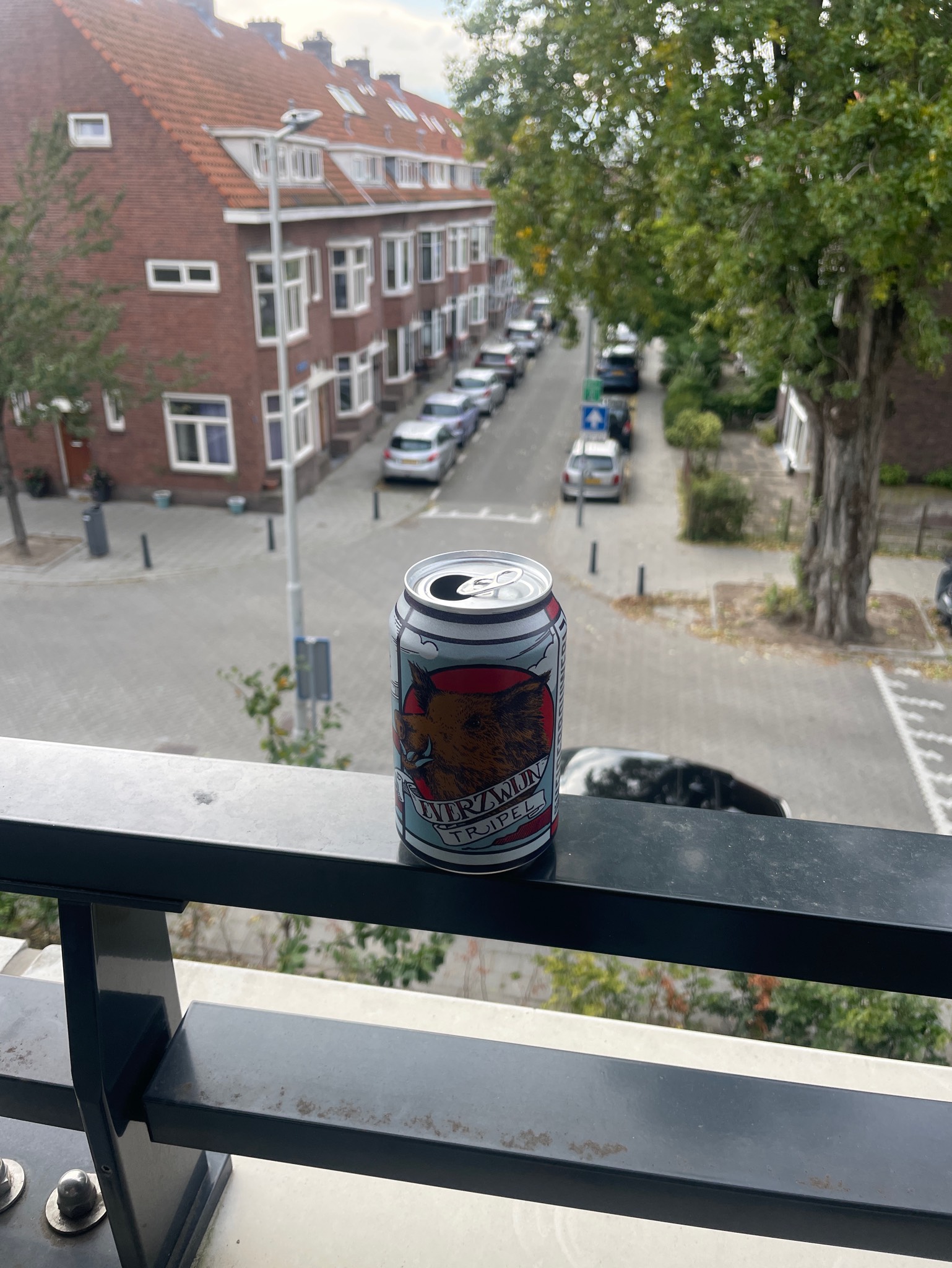 Everzwijn Tripel, De Heidebrouwerij