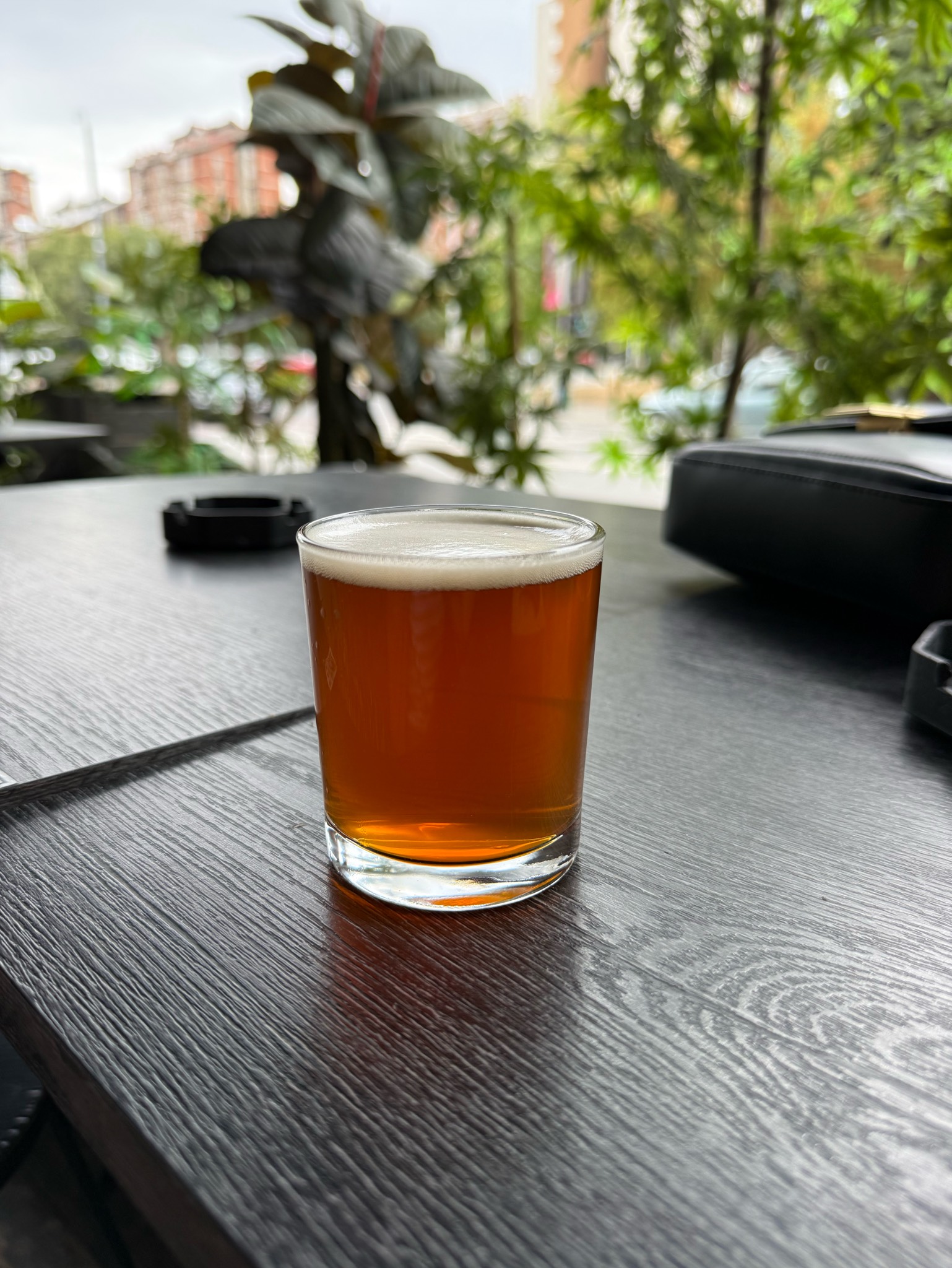 Flying Cloud IPA, Pivovar Černá Hora (Pivovary Lobkowicz)