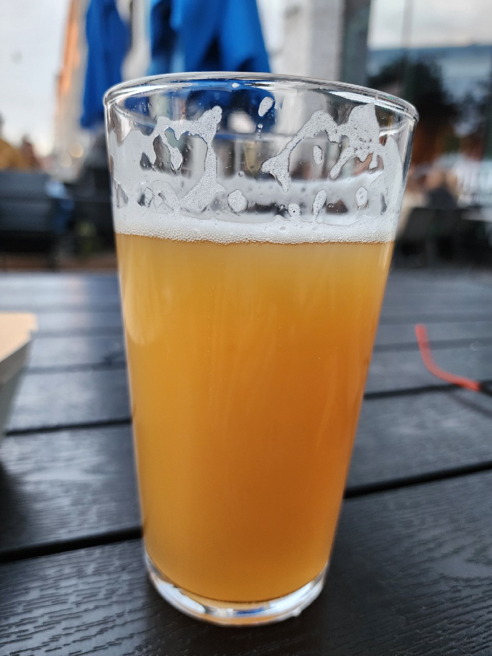 Karjalan Vehnäkoira, Finland